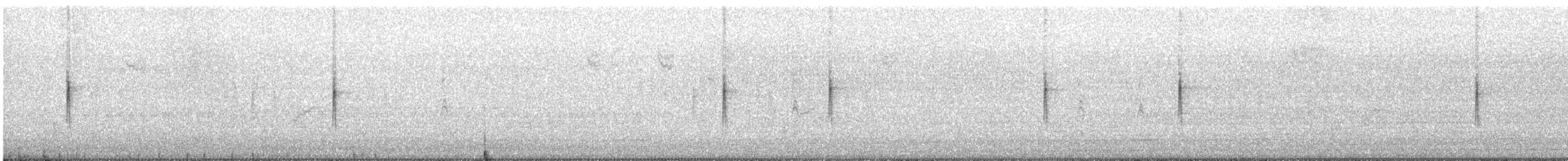 キヅタアメリカムシクイ（coronata） - ML647006731