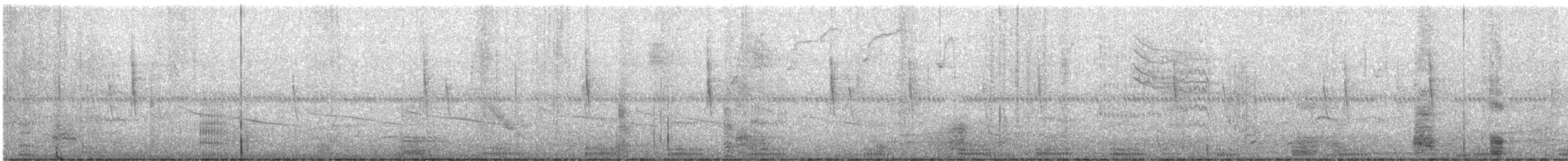 kormorán neotropický - ML647006986