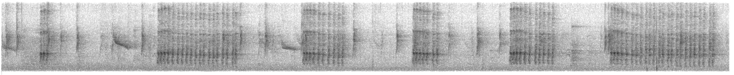 Nuttall's Woodpecker - ML647007259