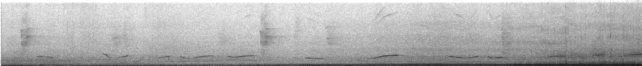 Audubon's Oriole - ML647007273