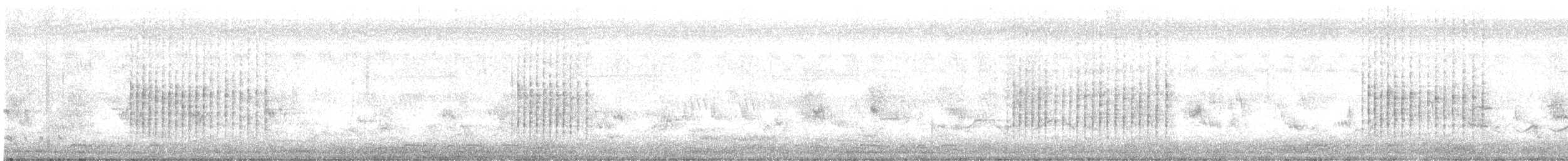 Dickschnabelspötter - ML647007661