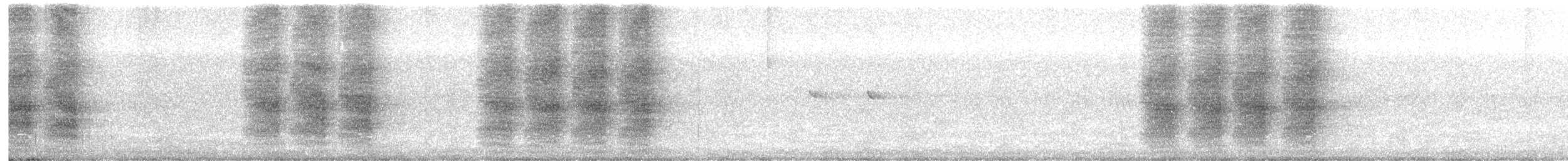 Spatelbaumelster - ML647007687