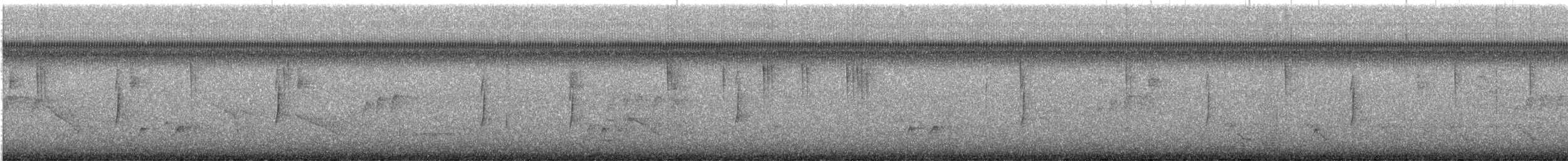 Zwergschnäppertyrann - ML647008053
