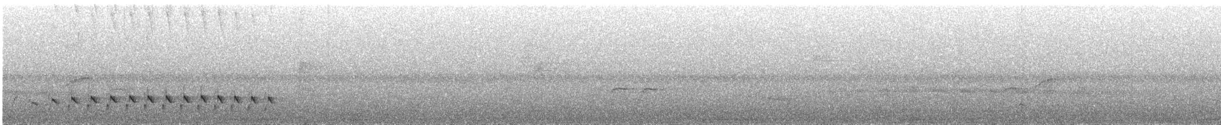 Grauameisenfänger - ML647008389