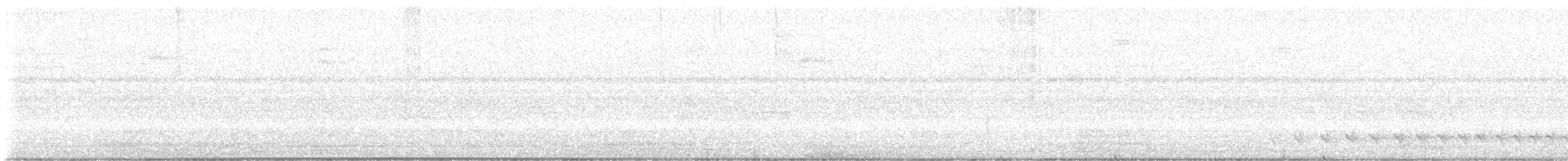 Bindenameisenwürger - ML647008393