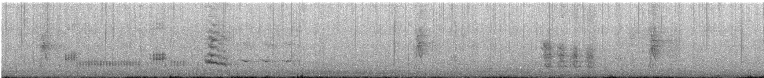 Inkablaurabe - ML647008467