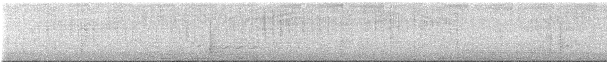 Spotted Dove (Eastern) - ML647008578