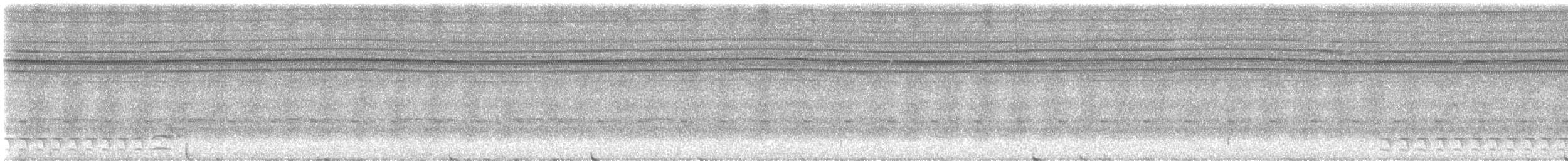 Ameisenwürger, unbestimmt - ML647009103