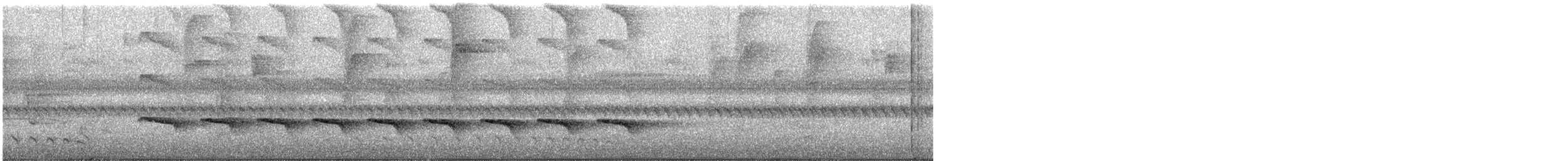 Schwarzameisenvogel - ML647009122