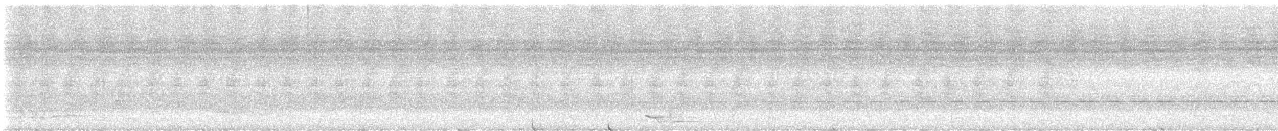 tanımsız karıncaavcısı (Thamnophilidae sp.) - ML647009463