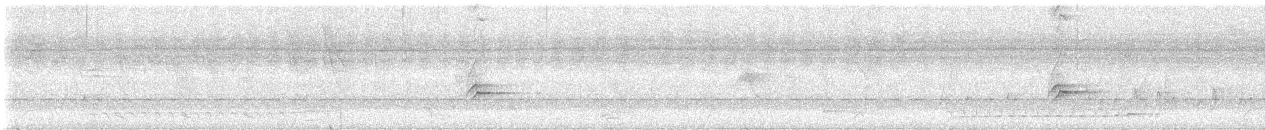 tanımsız karıncaavcısı (Thamnophilidae sp.) - ML647009493