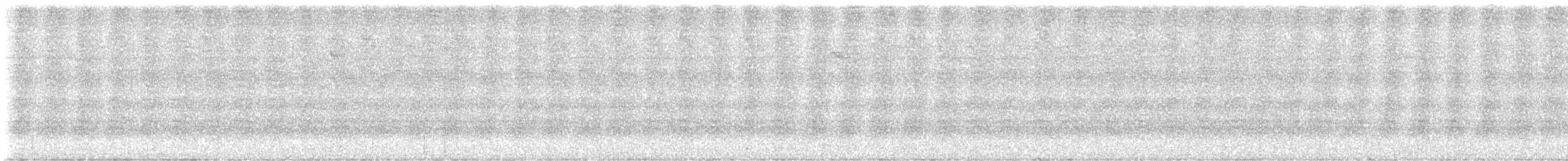 Bindenameisenwürger - ML647009504