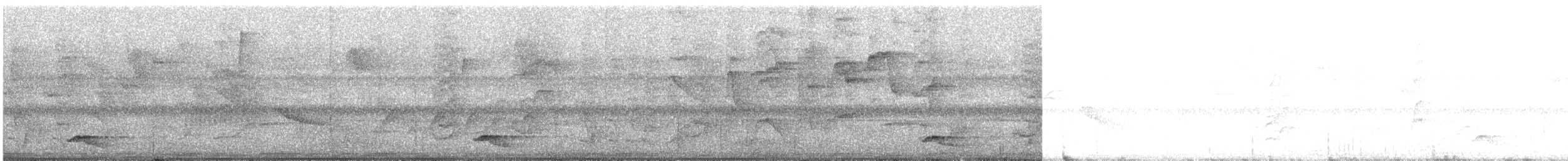 tanımsız Aves sp. - ML647009667