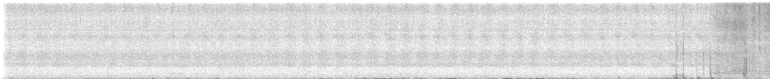 Ak Sakallı Manakin - ML647010162