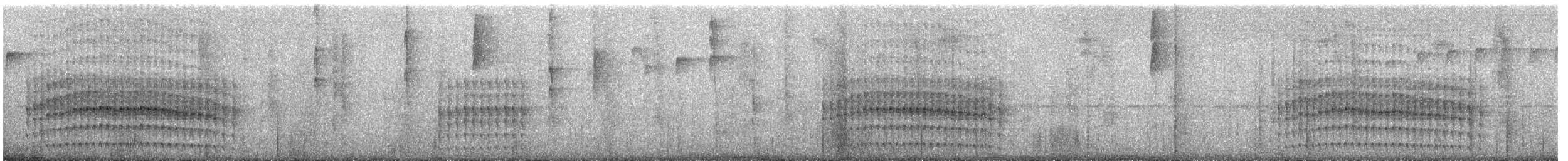 Çizgili Dalavcısı - ML647010231