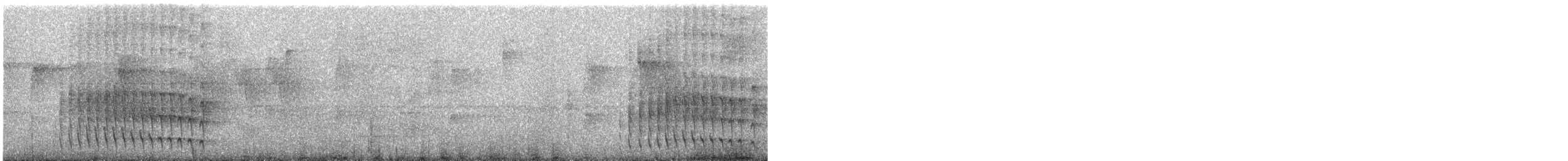 Çizgili Dalavcısı - ML647010232