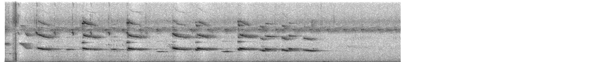 Afrika Gri Boynuzgagası - ML647010244