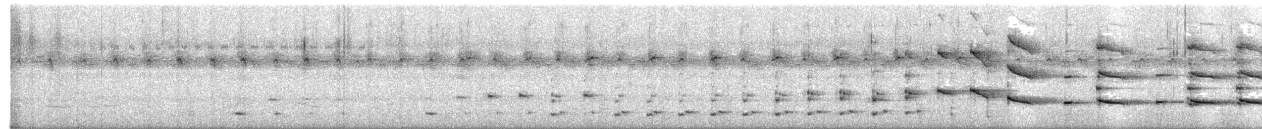 Afrika Gri Boynuzgagası - ML647010245