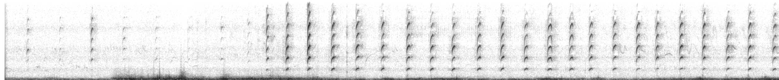 Afrika Gri Boynuzgagası - ML647010246