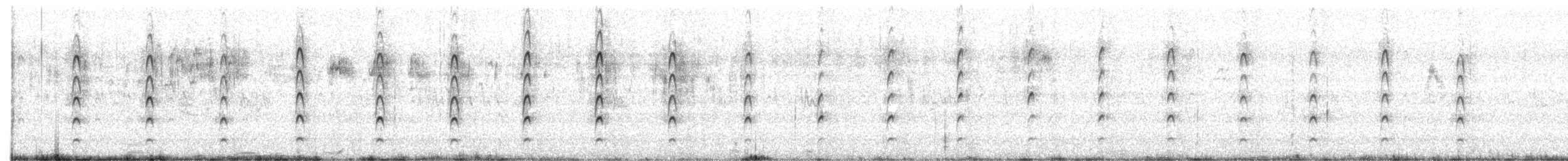 Afrika Gri Boynuzgagası - ML647010247