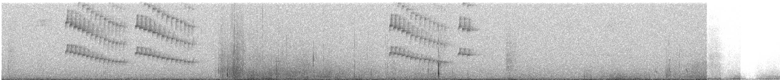 White-booted Racket-tail - ML647010287