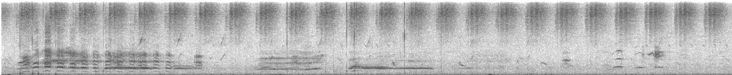 Gray Teal - ML647010417