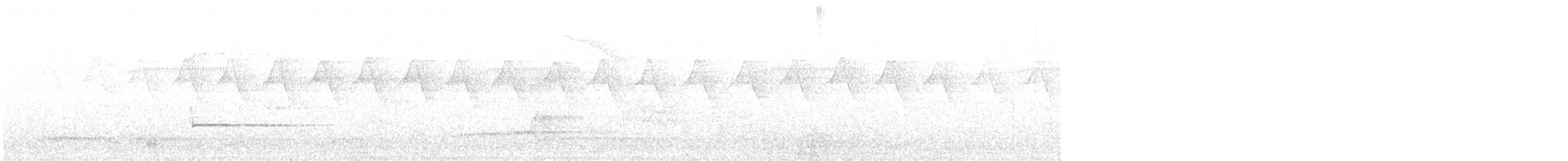 White-browed Scrubwren - ML647011260