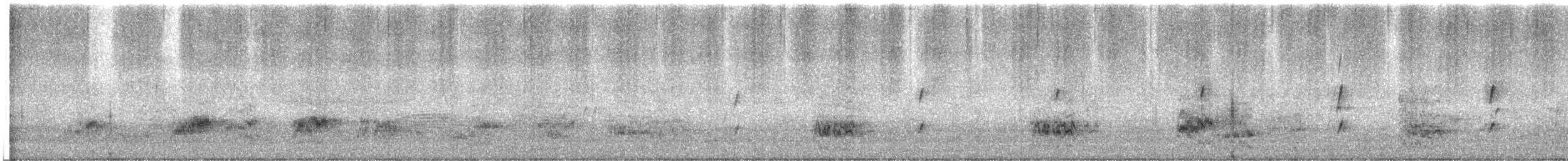 Superb Parrot - ML647011268