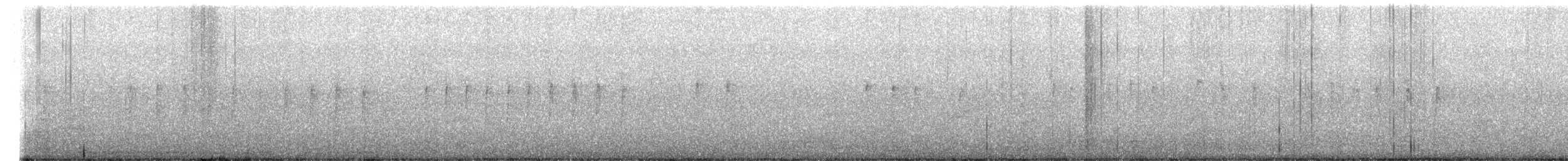 White-throated Tyrannulet - ML647011284