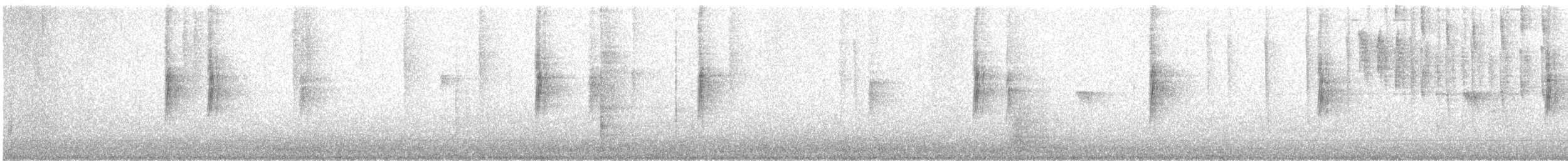 Yellow-rumped Warbler (Audubon's) - ML647011391