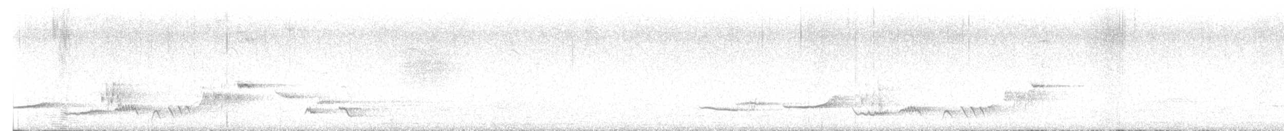 White-rumped Shama - ML647011568