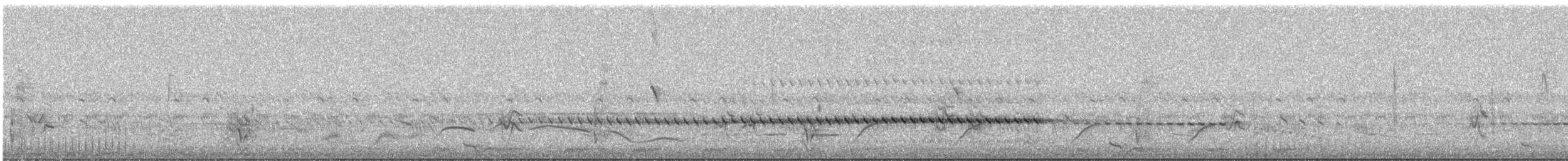 ススチャセッカ - ML647011893