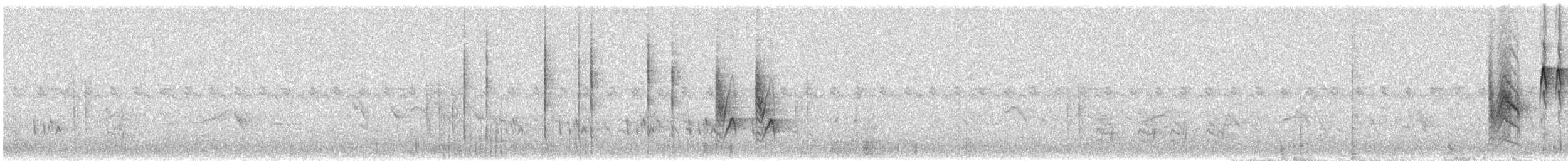 Souimanga à ventre jaune (groupe venustus) - ML647012009