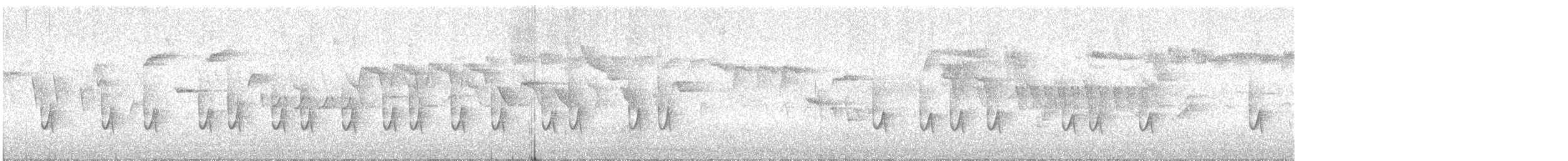 סיטה אירופית (מערבית) - ML647012399