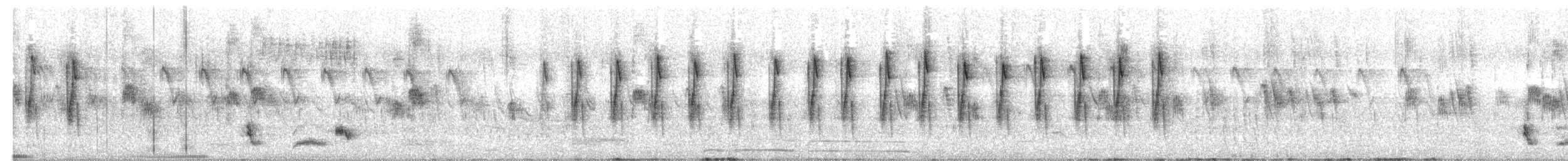 Prinia modeste - ML647012580
