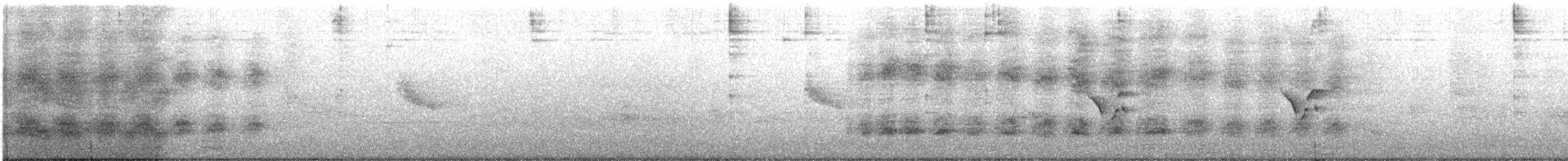 Témia de Swinhoe - ML647012622