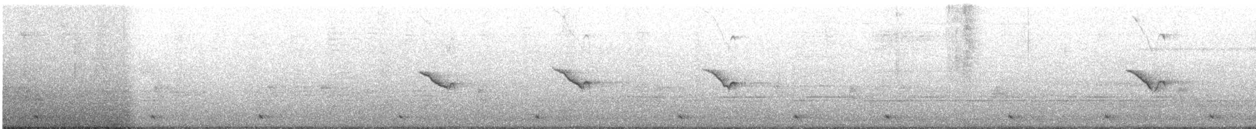 Autour huppé - ML647012635