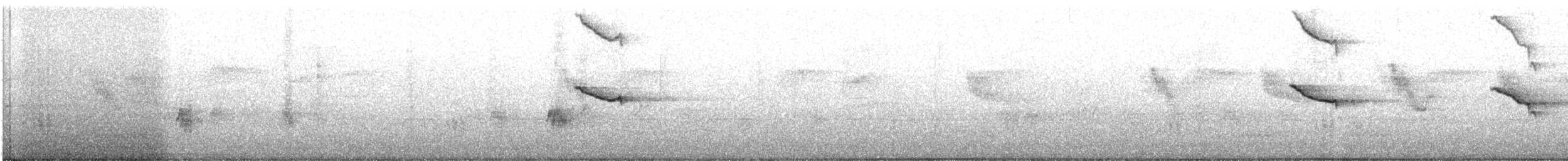 Crested Goshawk - ML647012670