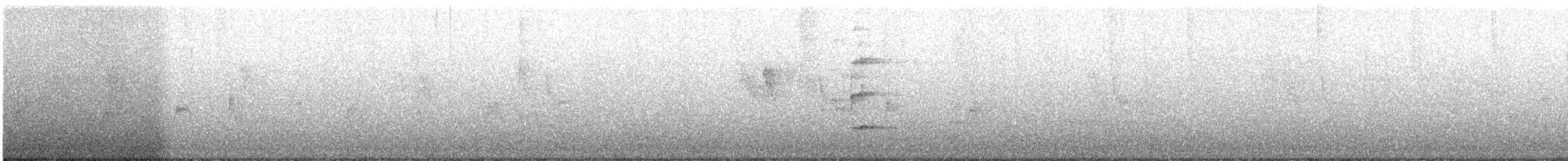 Crested Goshawk - ML647012671