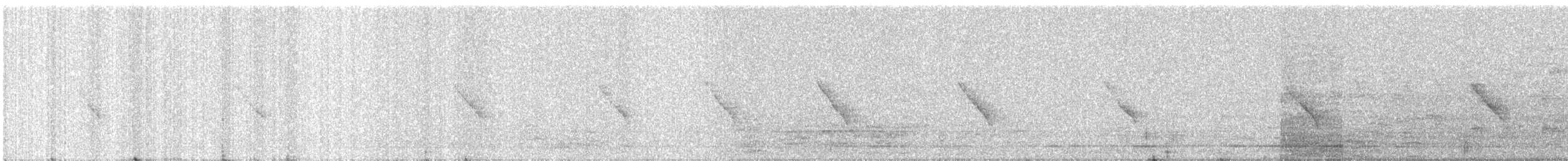 Couturière à longue queue - ML647013251