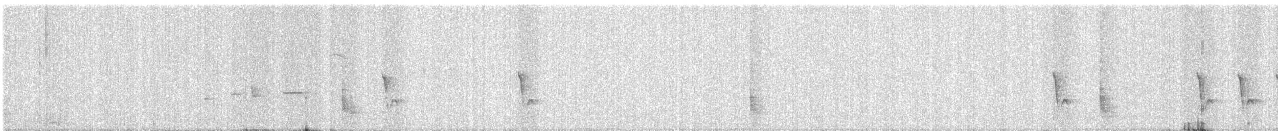 Spot-breasted Fantail - ML647013262