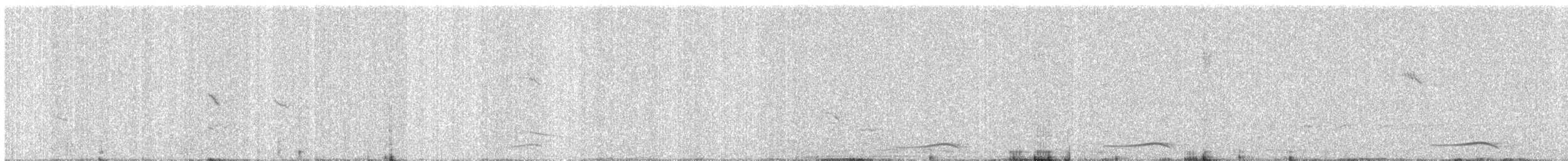 Asian Koel - ML647013338