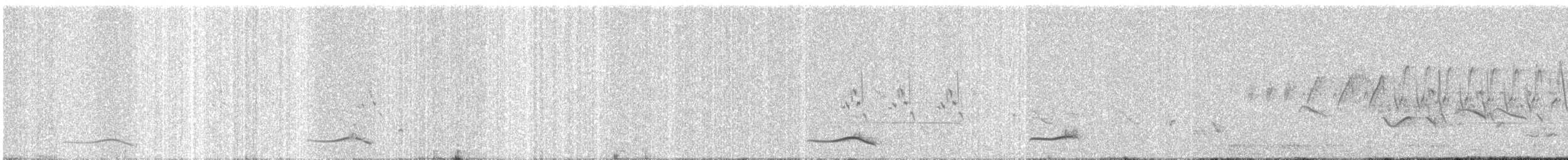 Rostbauchprinie - ML647013404