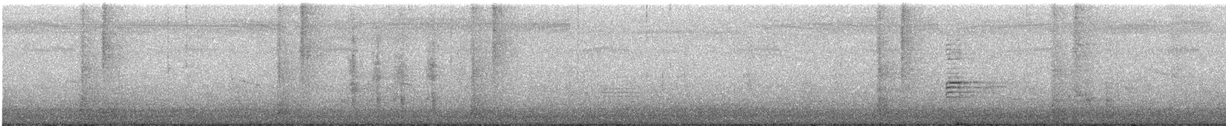 Orientelster - ML647013421