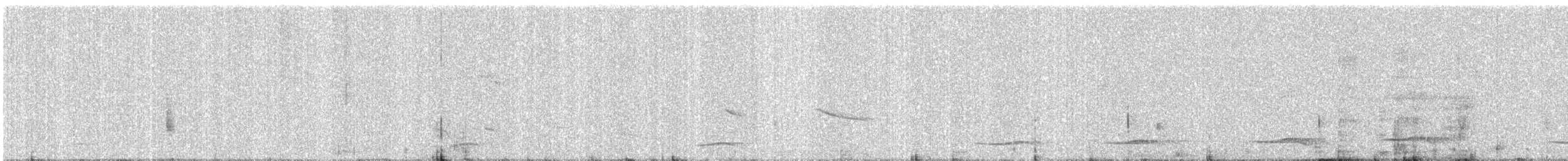 Common Iora - ML647013479