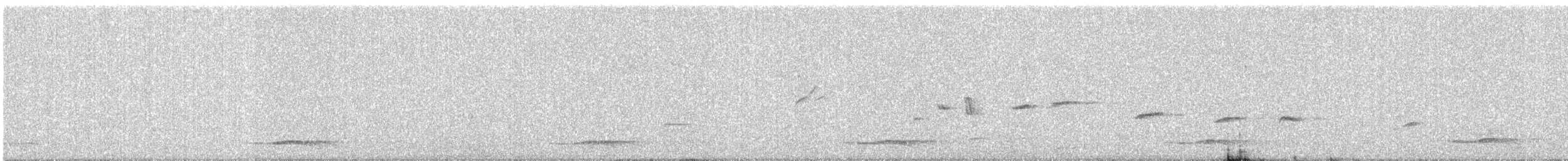 Common Iora - ML647013483