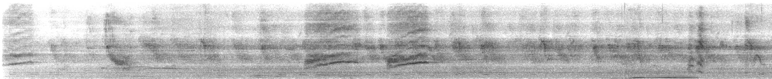 Iberian Magpie - ML647013499