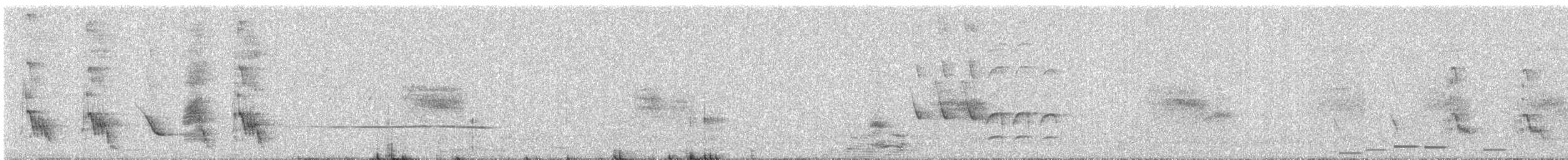 Asian Koel - ML647013506