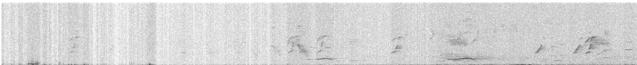 Plum-headed Parakeet - ML647013546