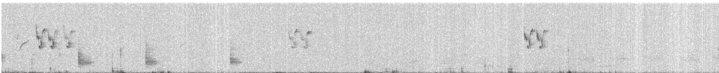 Asian Koel - ML647013576